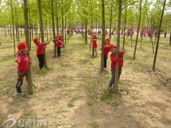 紅纓幼兒園春游活動