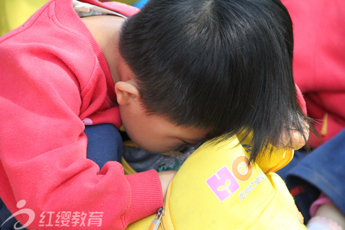 山東淄博紅纓盛世康城幼兒園春游活動