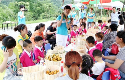 陜西安康紅纓高新幼兒園組織“初夏采摘”活動