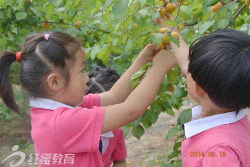 山東濰坊北京紅纓加盟園朝霞幼兒園