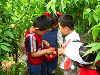 幼兒園各類活動留念