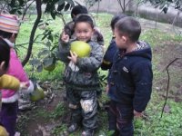 重慶璧山縣青杠鎮海爾幼兒園 秋季采摘活動